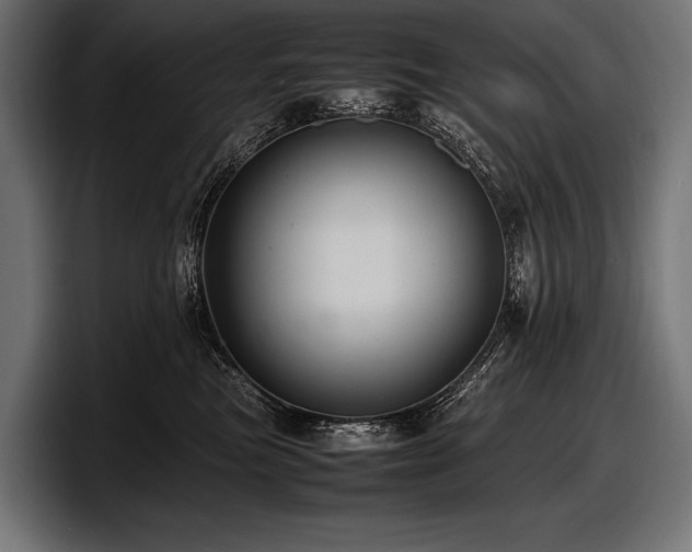 X0000097960473200803241217