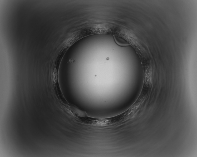 X0000097960474200803241217