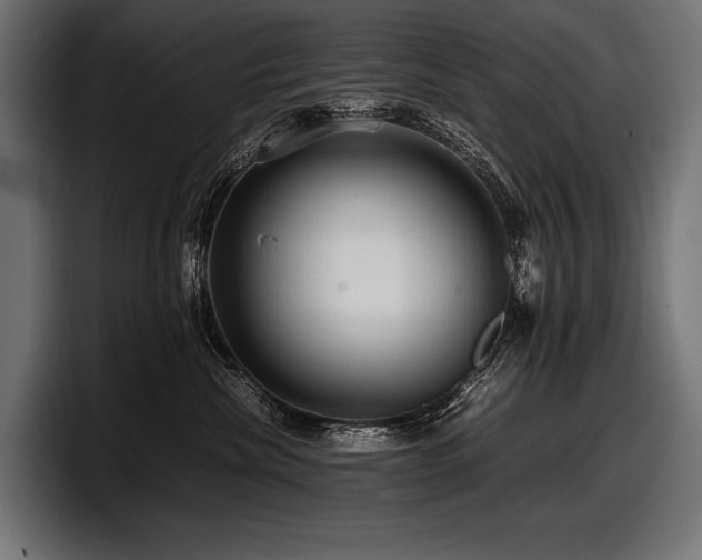 X0000097960476200803241217