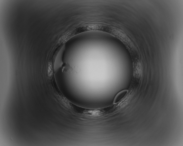 X0000097960478200803241217