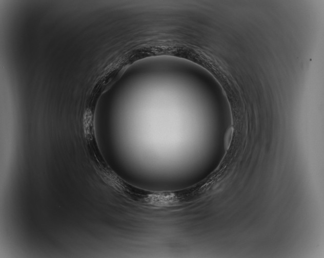 X0000097960480200803241217