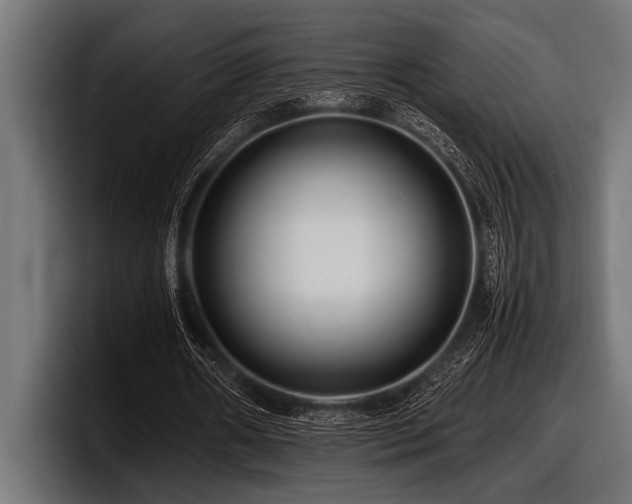 X0000097960482200803241217