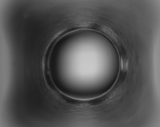 X0000097960483200803241217