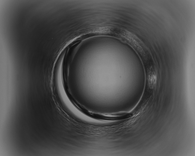 X0000097960484200803241217