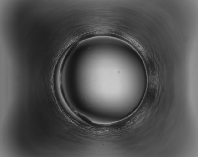 X0000097960485200803241217