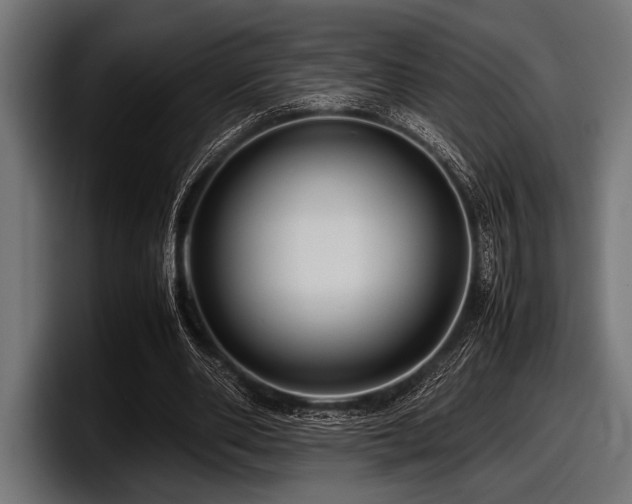 X0000097960486200803241217