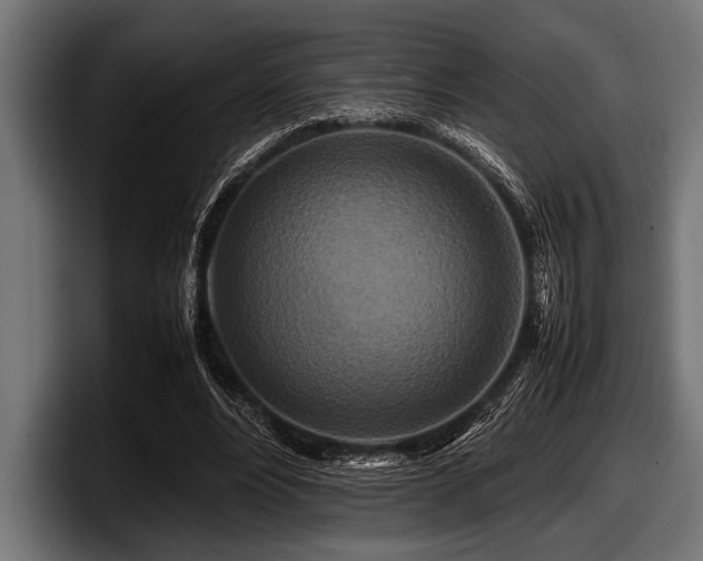 X0000097960488200803241217