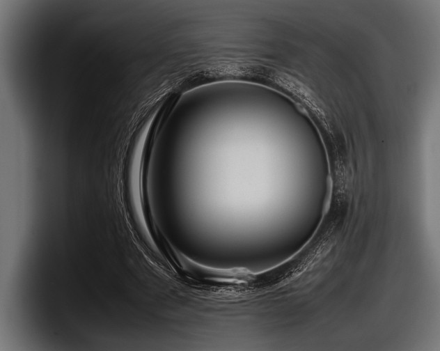 X0000097960489200803241217