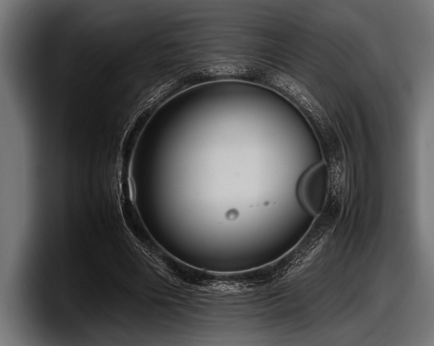 X0000097960490200803241217