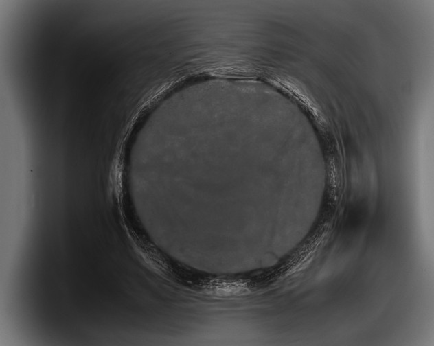 X0000097960491200803241217