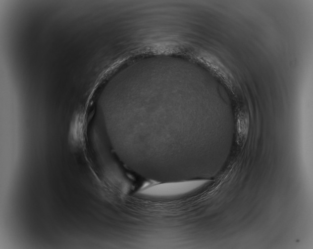 X0000097960492200803241217