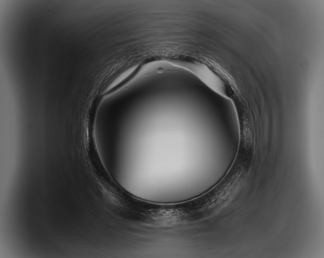 X0000097960493200803241217