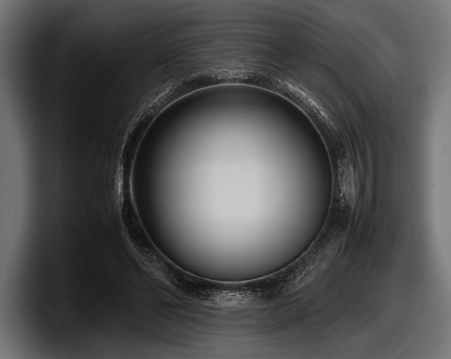X0000097960494200803241217
