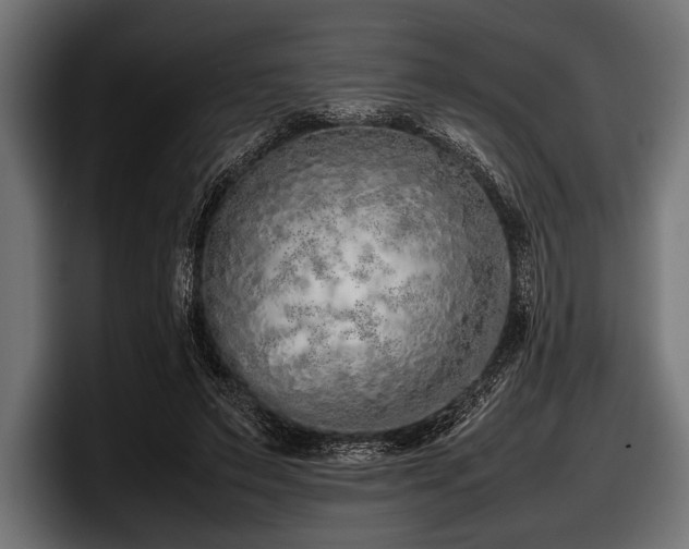 X0000097960495200803241217