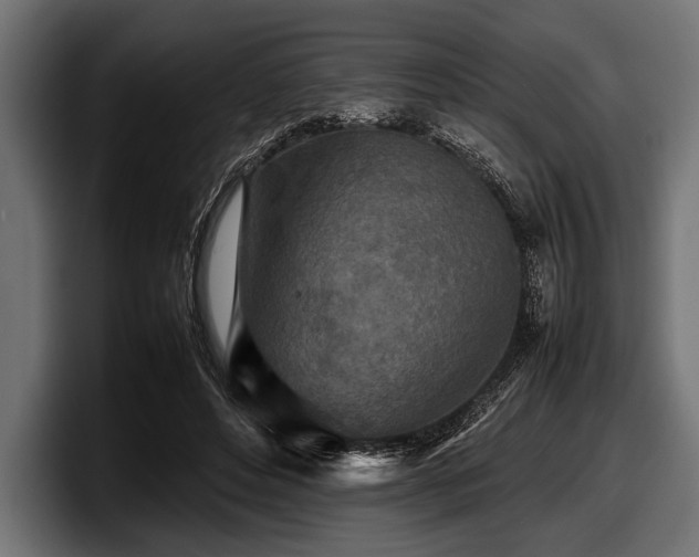 X0000097960496200803241217