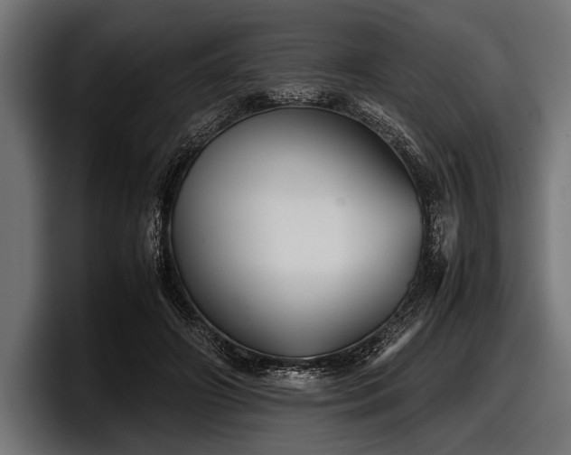 X0000097960498200803241217