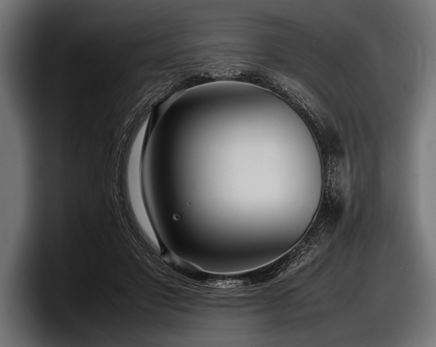X0000097960501200803241217