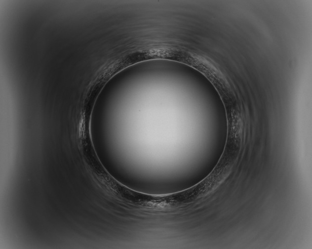 X0000097960502200803241217