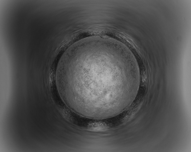X0000097960503200803241216