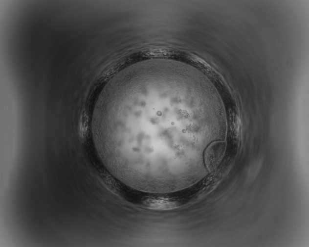 X0000097960507200803241216