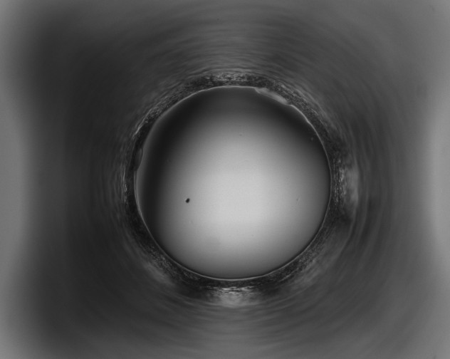 X0000097960508200803241216