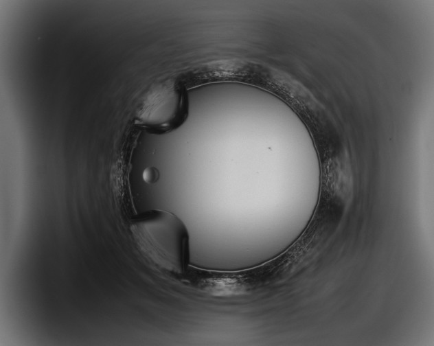 X0000097960509200803241216