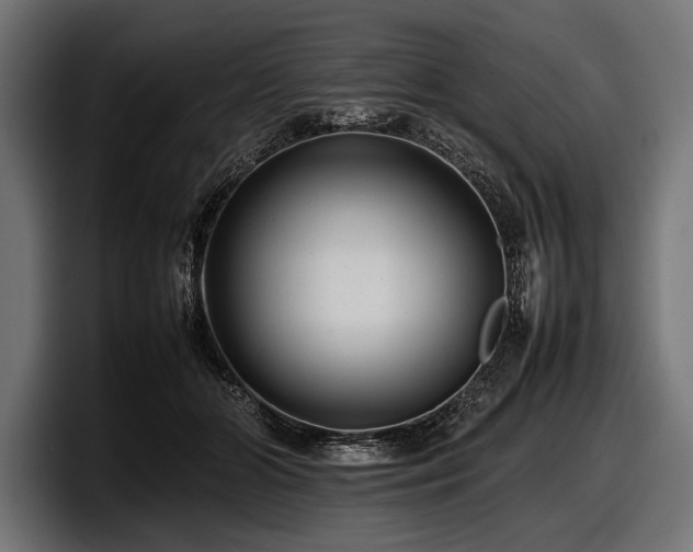 X0000097960510200803241216