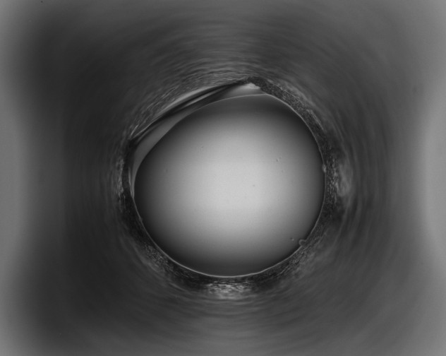 X0000097960512200803241216