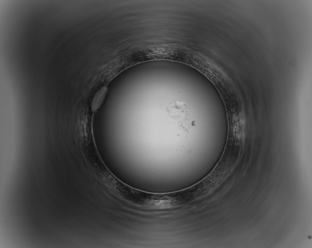 X0000097960514200803241216