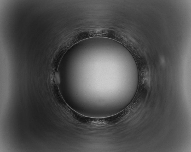 X0000097960515200803241216