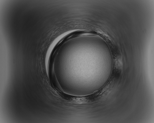 X0000097960517200803241216