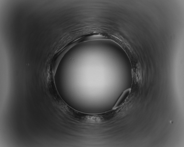 X0000097960520200803241216