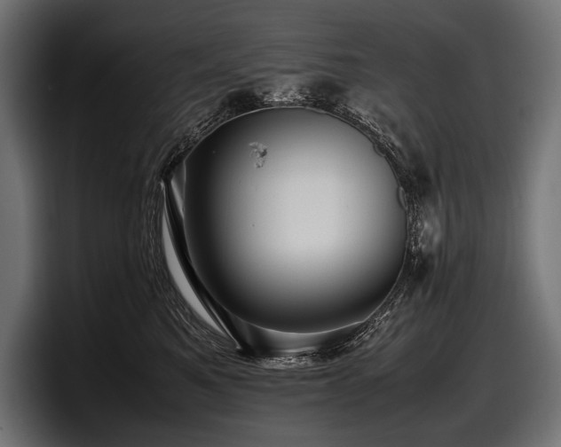 X0000097960521200803241216