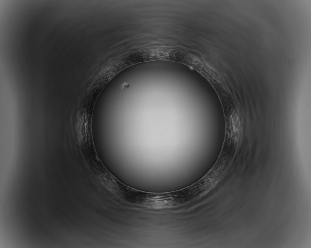 X0000097960522200803241216