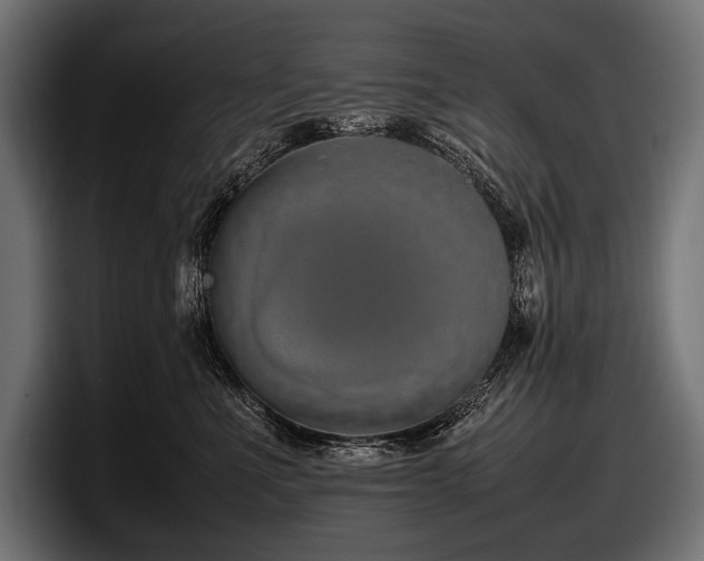 X0000097960523200803241216