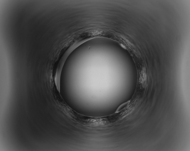 X0000097960524200803241216