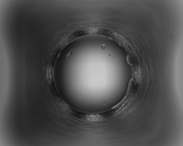 X0000097960525200803241216