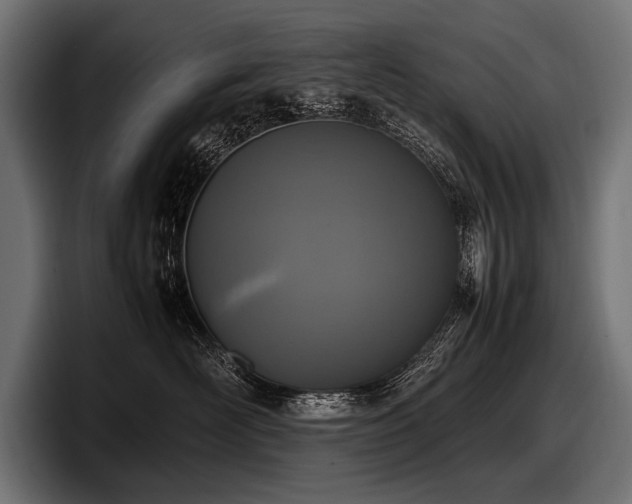 X0000097960526200803241216