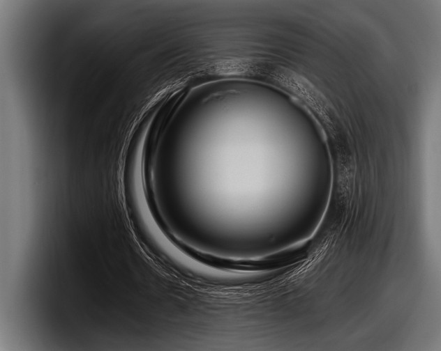 X0000097960530200803241216