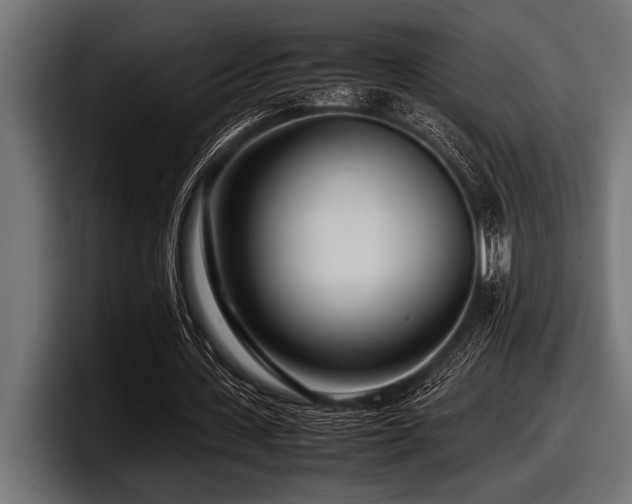 X0000097960531200803241216