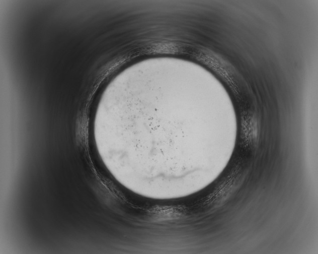 X0000097960534200803241216