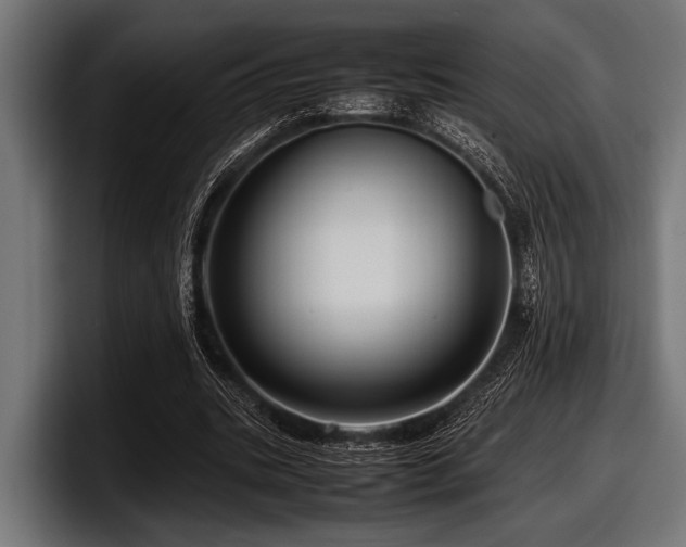 X0000097960535200803241216