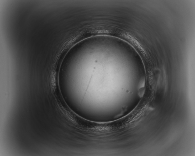 X0000097960537200803241216