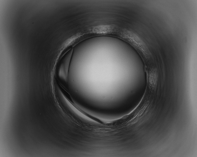 X0000097960540200803241216