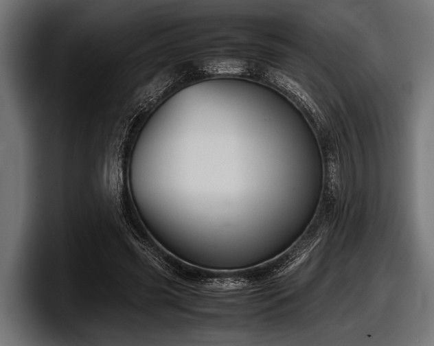 X0000097960541200803241216