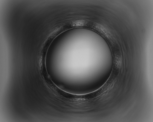 X0000097960543200803241216