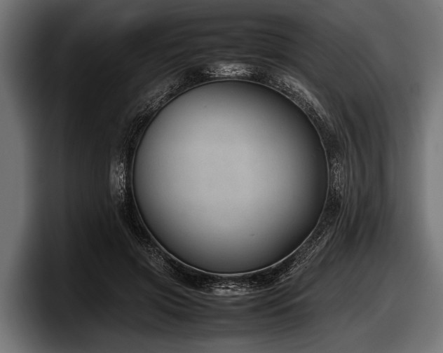 X0000097960549200803241216
