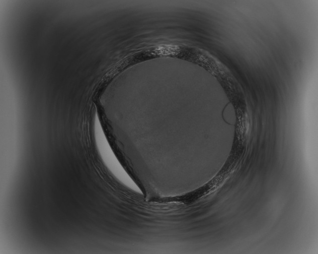 X0000097960553200803241216