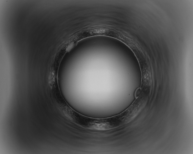 X0000097960555200803241216