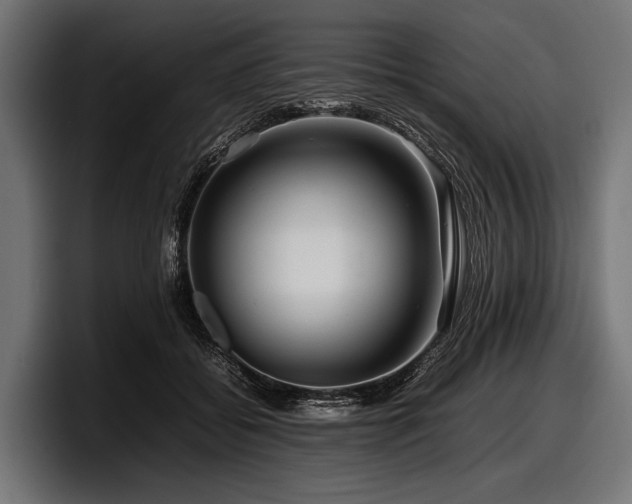 X0000097960556200803241216